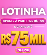 Lotinha 