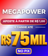 MEGA POWER 