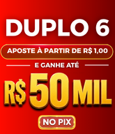 DUPLO 6 